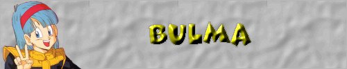 Bulma Profile