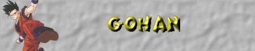 Gohan Profile
