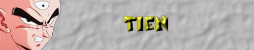 Tien Profile