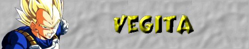 Vegita Profile
